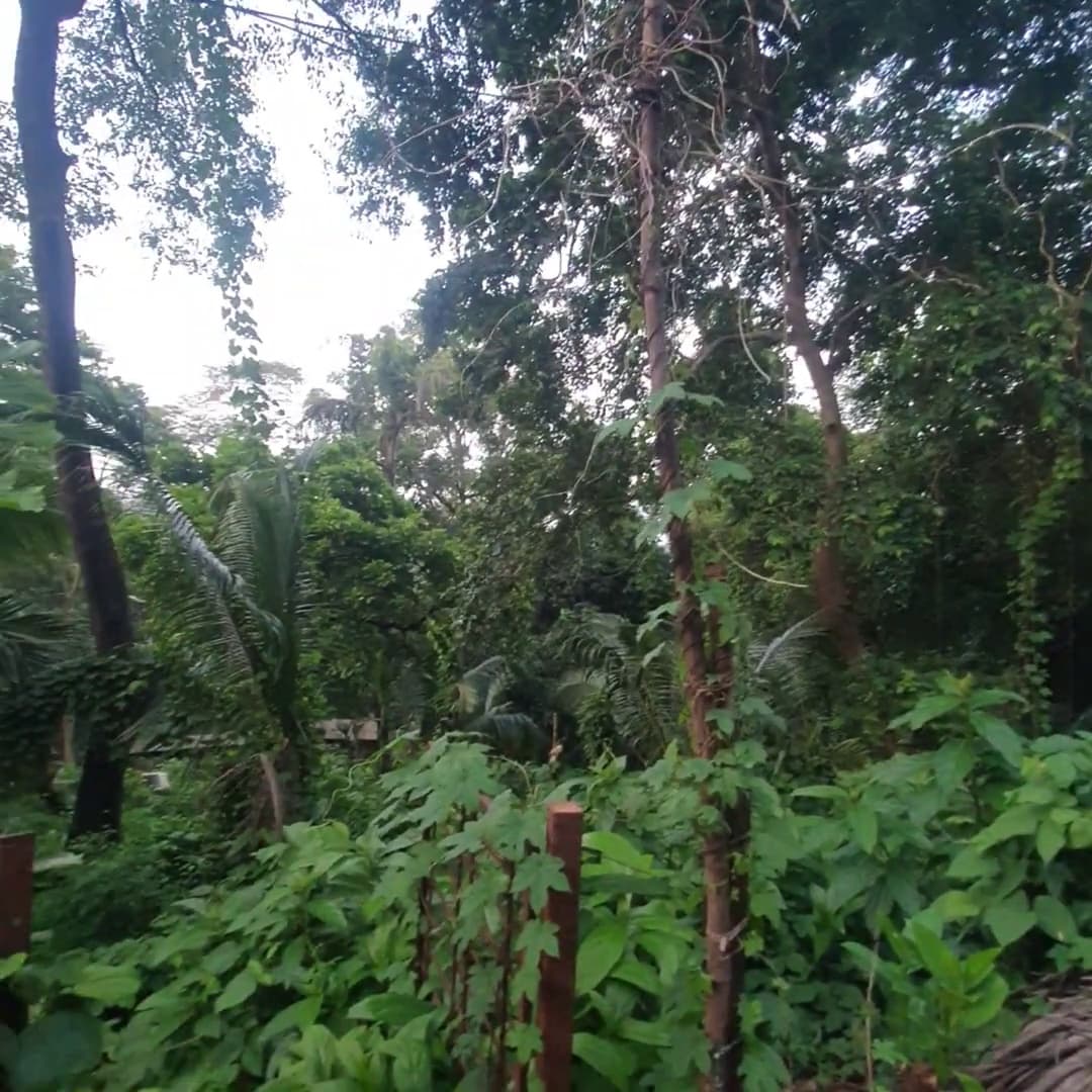 Image of Residential Plot in Chandigarh’s Top Area