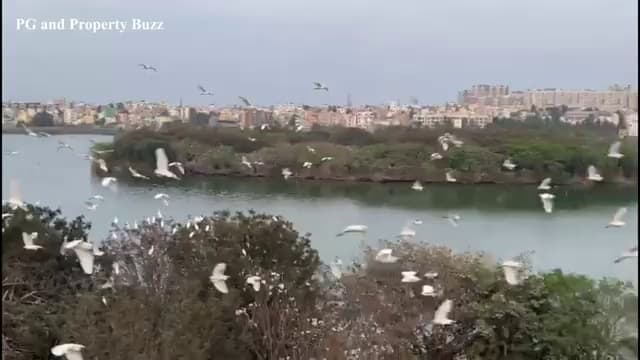 Available 1 Bhk In Chhara