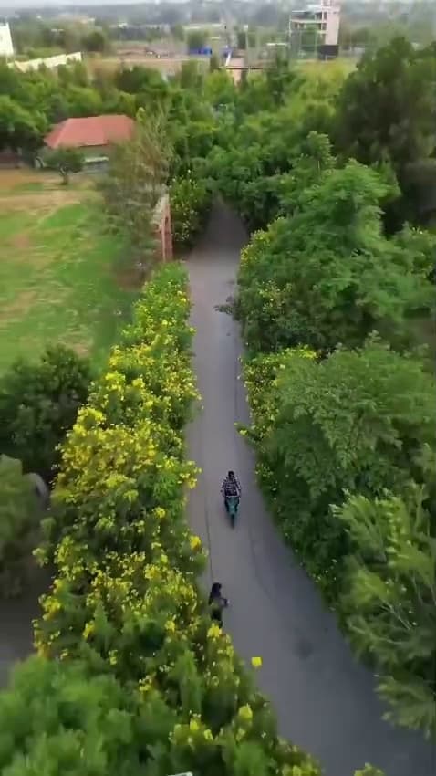 Image of Spacious Villa with Garden and Terrace in Coorg