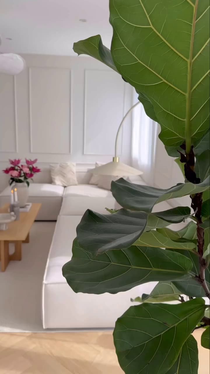 1 Bhk Apartments To Buy In Indresham Patancheruvu