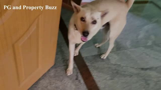 3 Bhk Properties For Rent In Gharoli Mayur Vihar