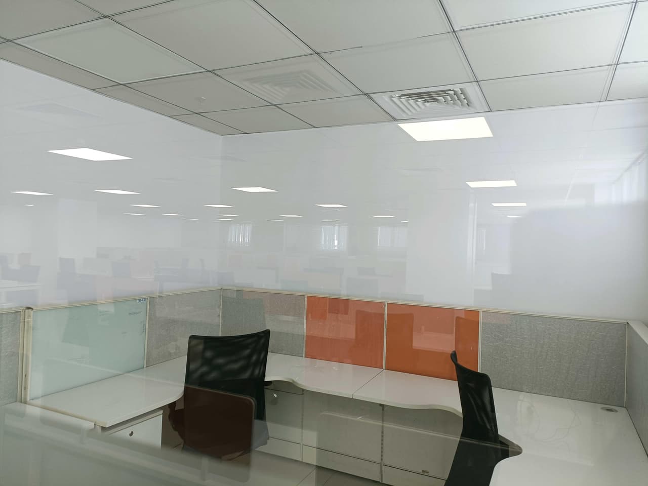 Image of Vaishnavi Cynosure