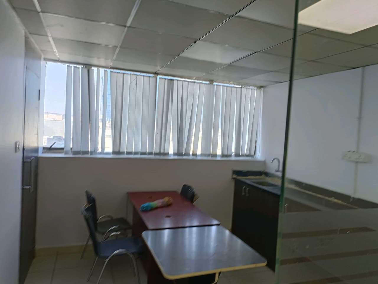 Image of Vaishnavi Cynosure