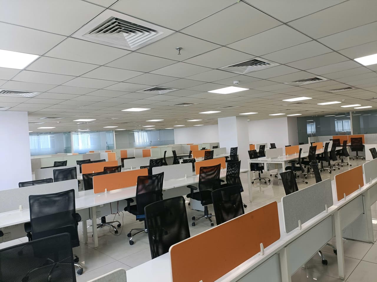 Image of Vaishnavi Cynosure