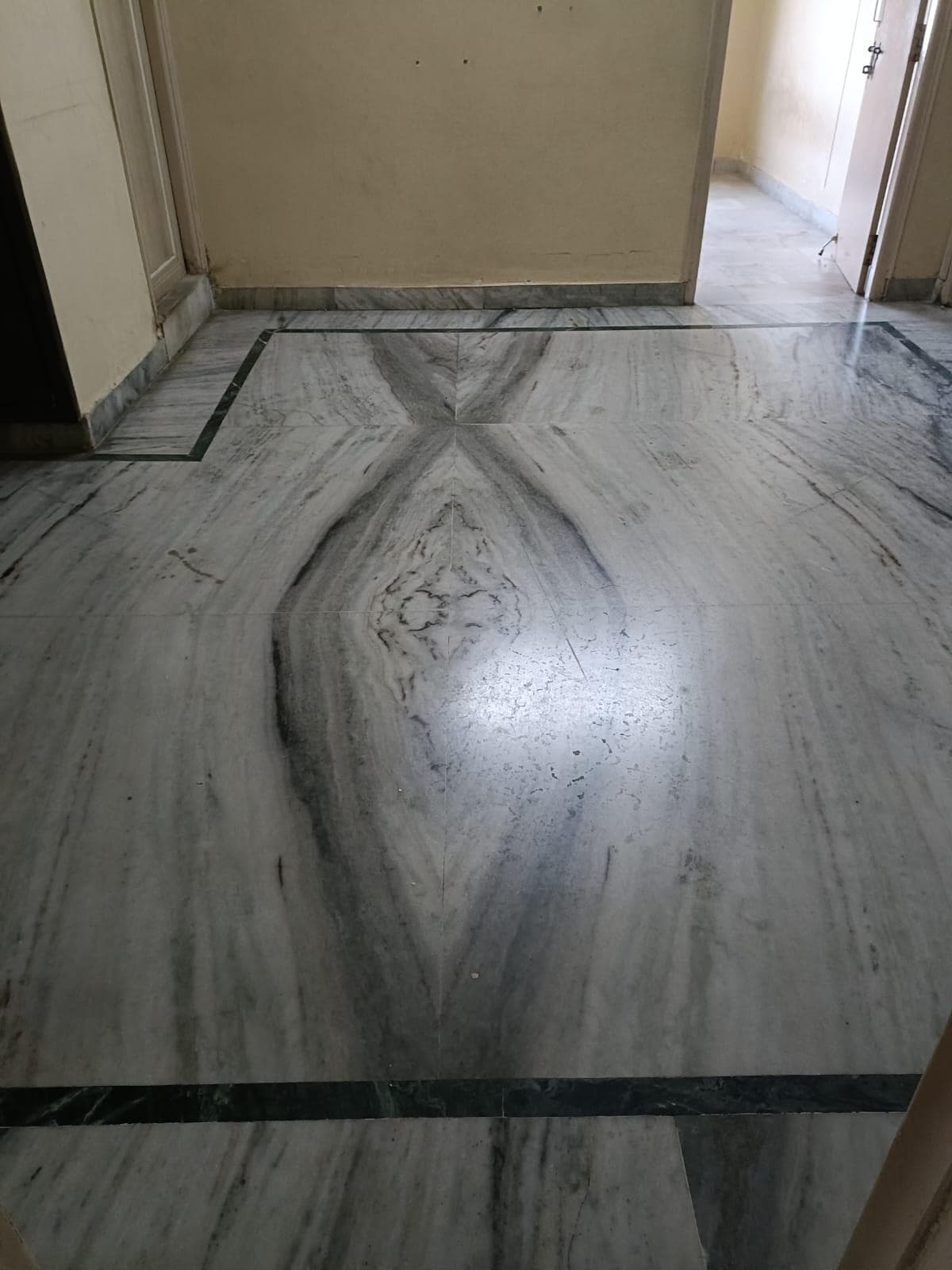 Image of Golden Nest Apartment