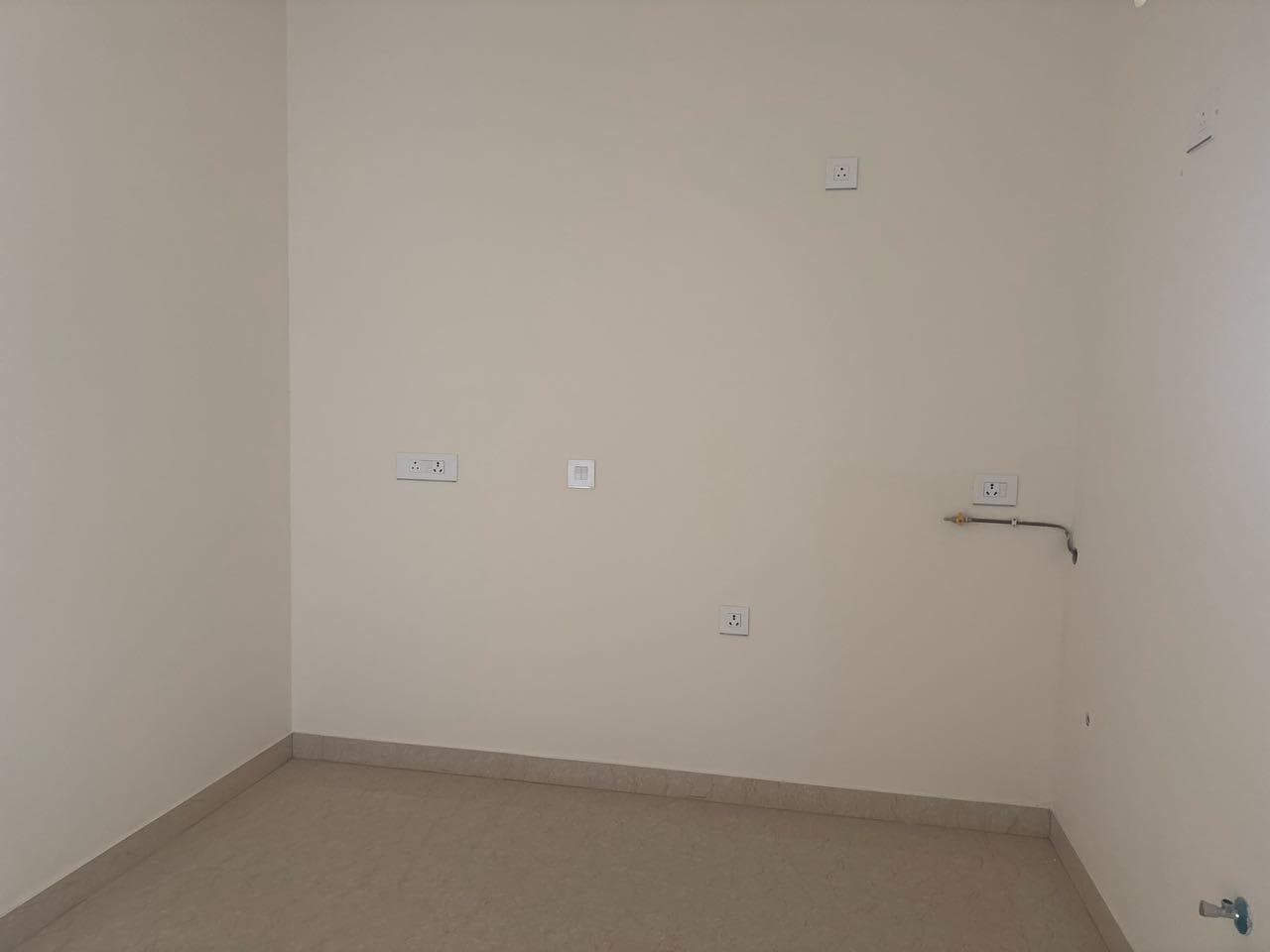 Image of The Regent by Auro