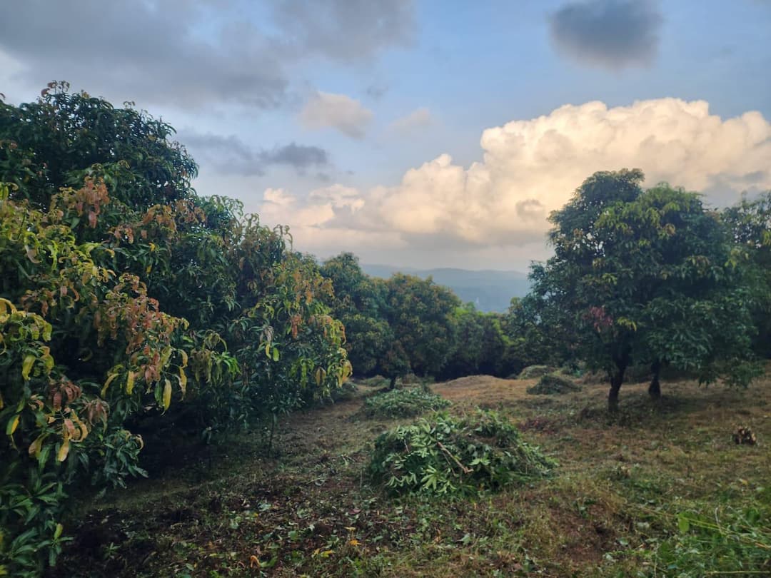 Rate Of Plot In Mumbai