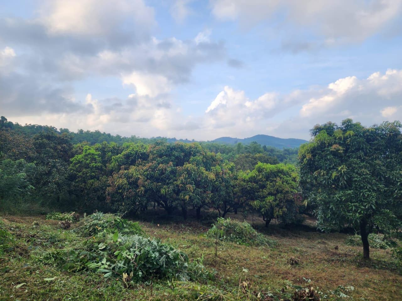 Image of Dahisar, Mumbai