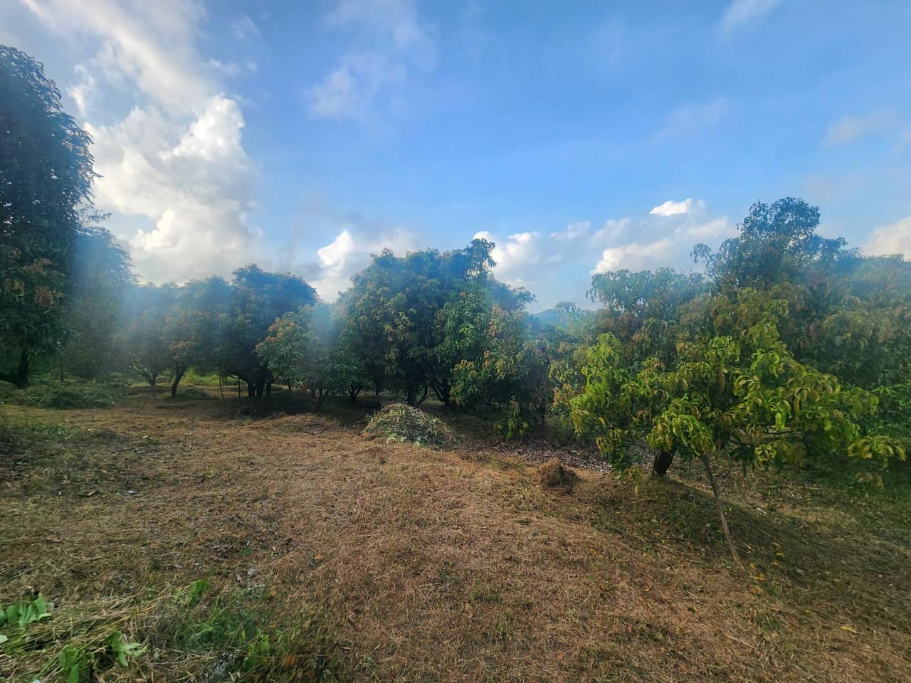 Image of Dahisar, Mumbai