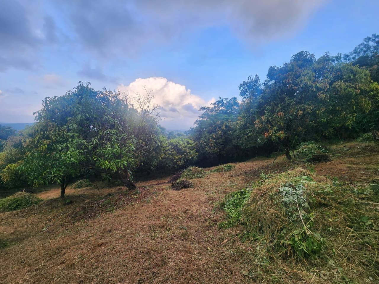 Image of Dahisar, Mumbai