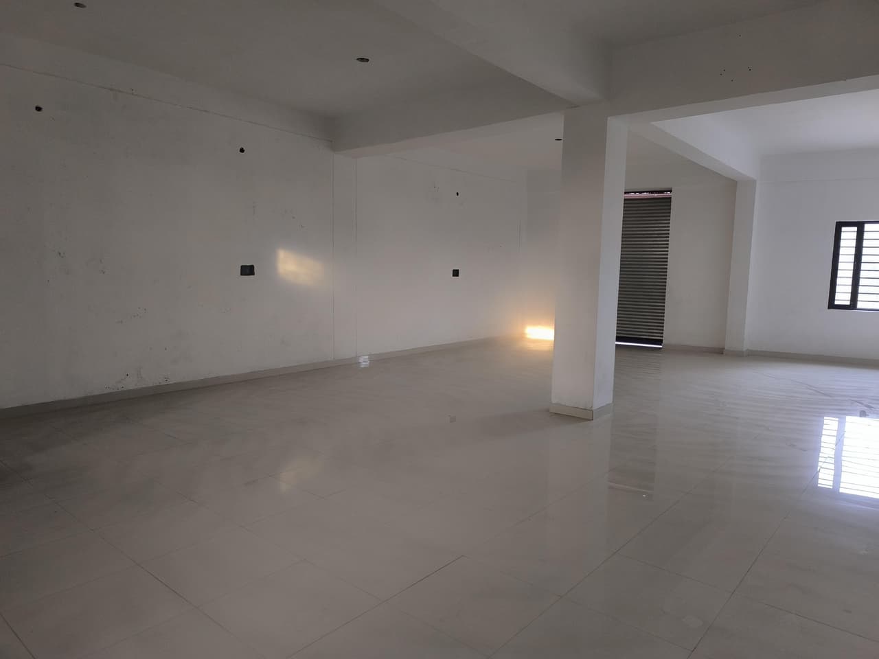 Image of Basal, Una, H P