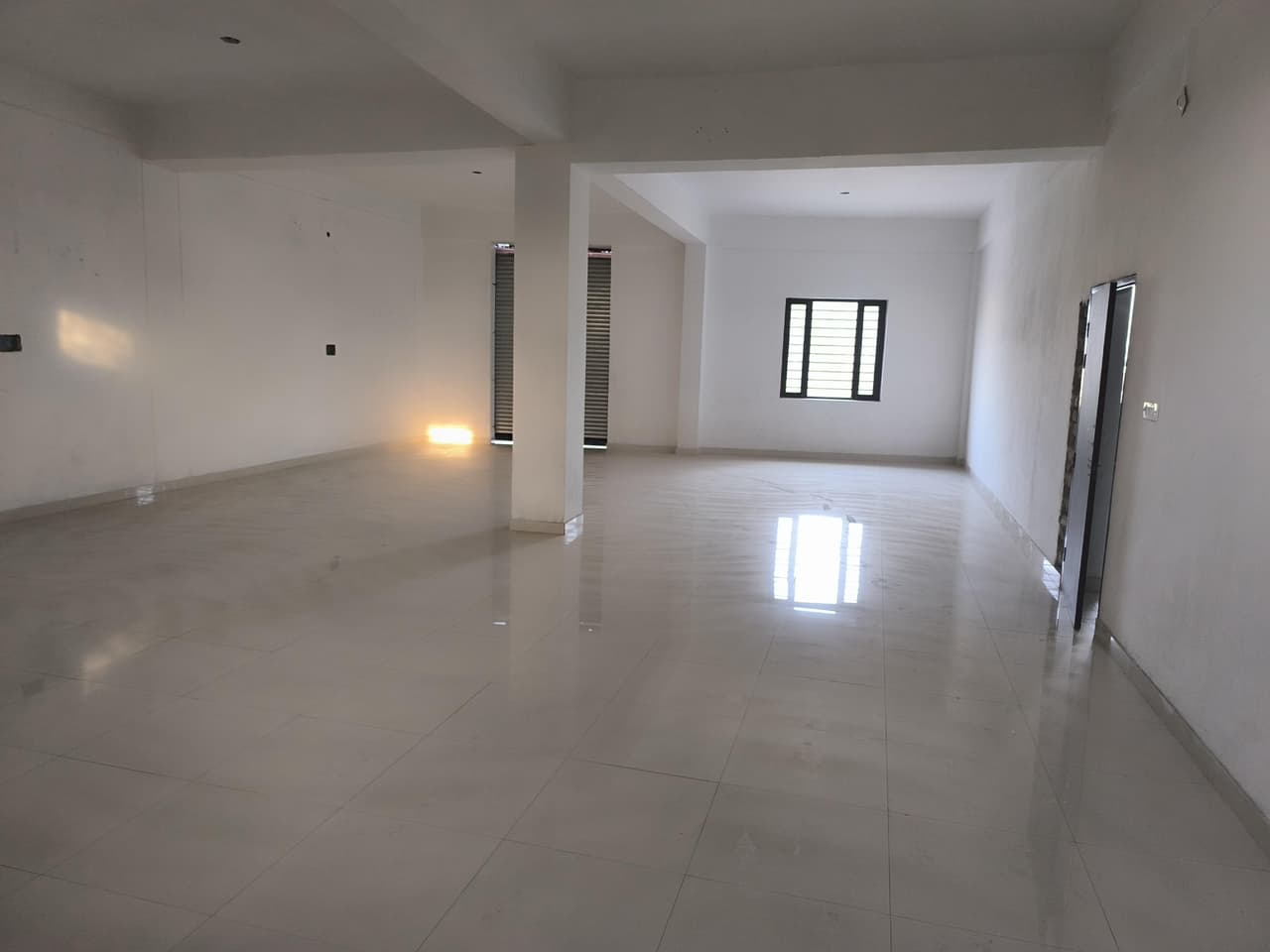 Image of Basal, Una, H P