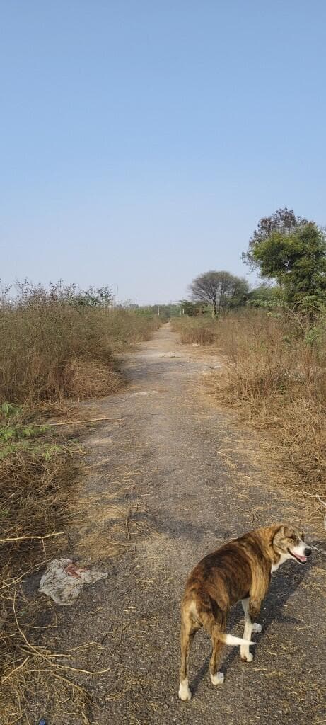 Image of Sector 34 Rohini, Delhi