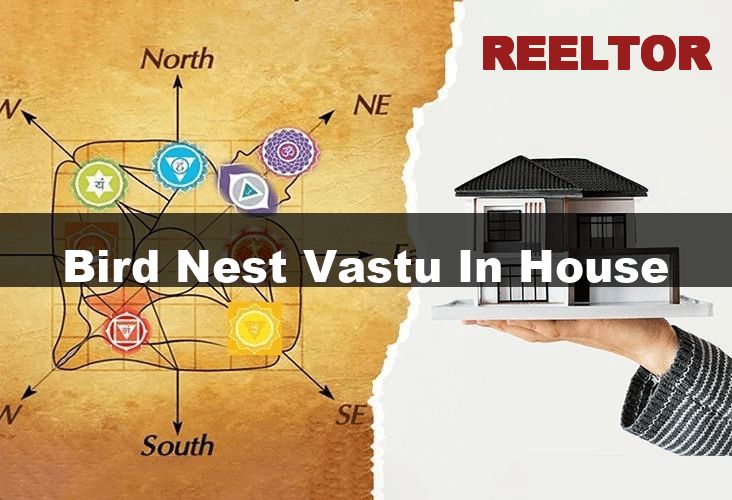 Bird Nest Vastu for Harmony