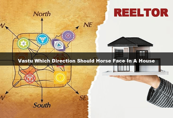 Horse Direction in Vastu Shastra